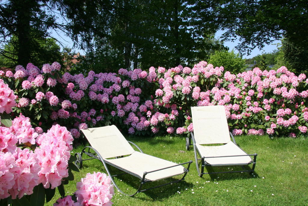 Pension Villa Edelweiss Sellin  Bagian luar foto