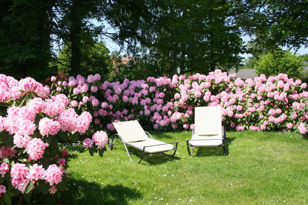 Pension Villa Edelweiss Sellin  Bagian luar foto